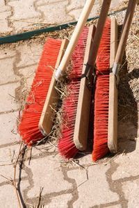 10 Haushaltstipps f&uuml;r Euren Fr&uuml;hlingsstart