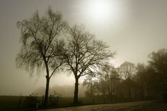 K&uuml;rzester Tag des Jahres