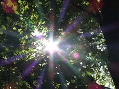 Die Macht des Sonnenlichtes