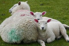 Schlafen hilft wirklich!