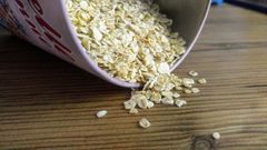 Wer flattert da im M&uuml;sli?