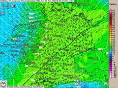 November endet grau und mild