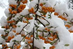 Wo ist mit Schneefall zu rechnen?