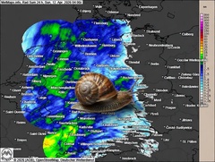 Schneckenalarm in unserem Kr&auml;utergarten