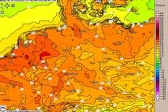Fr&uuml;hling pur zum Feiertag?