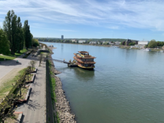 Auch das noch! Niedrigwasser im Rhein gef&auml;hrdet Mineral&ouml;ltransporte