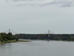 Gesundheitsrisiken durch Bonner Br&uuml;cken-Chaos