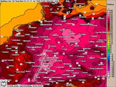 Extremhitze im Anflug: Bis zu 42 °C am Oberrhein