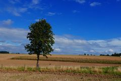 Von lauem Freitagabend zur sommerlichen Samstagsw&auml;rme