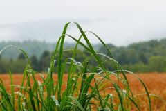 Wann komm die gro&szlig;e Abk&uuml;hlung?