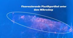 B&ouml;se &Uuml;berraschung im Quellwasser